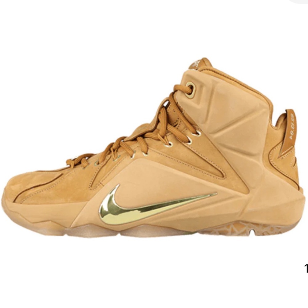 NWT NIKE LEBRON 12 EXT
